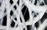 thierry Brusquet