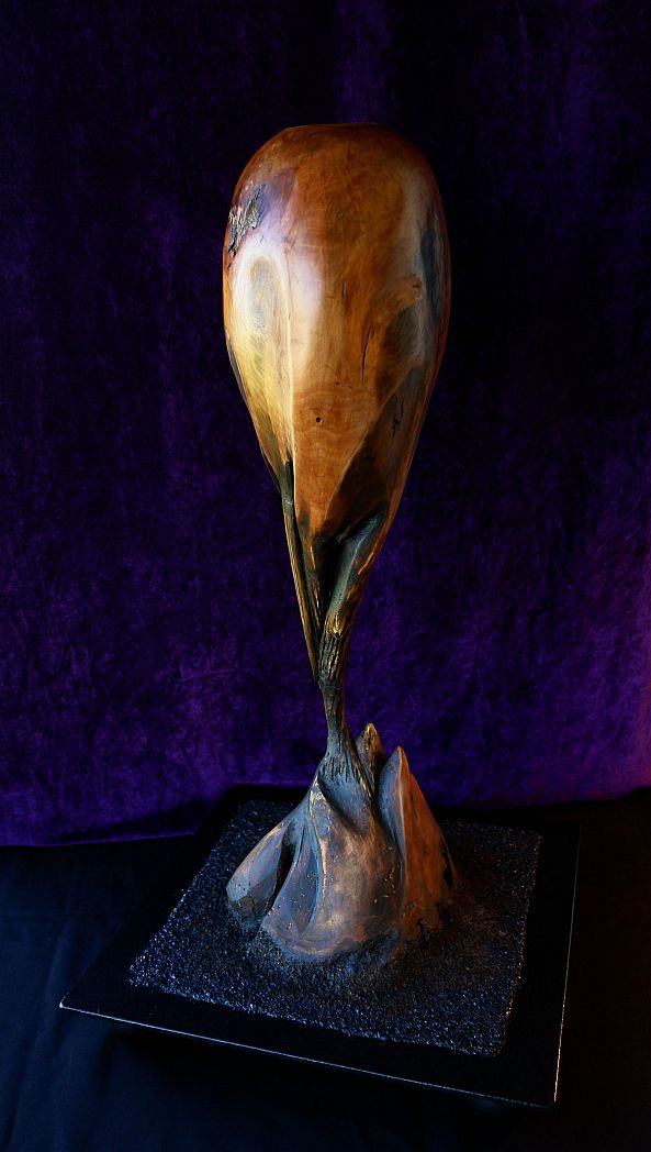 Creation of mankind-Laura Soneriu