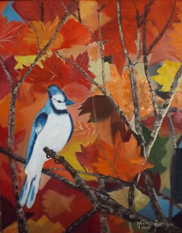 Geai bleu-MICHEL JOSEPH RODRIGUE