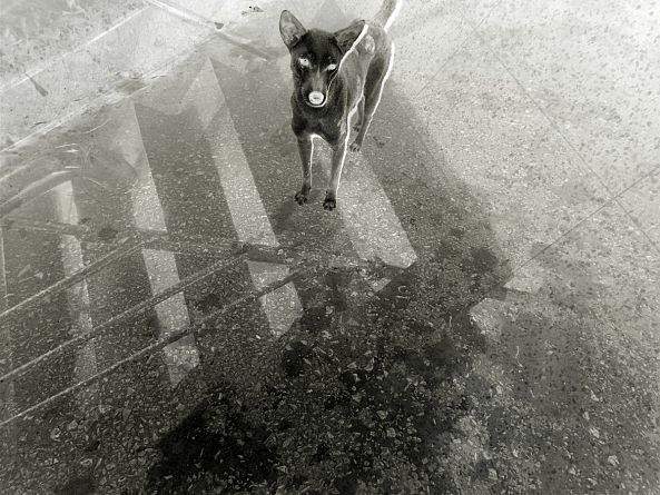 "tell me the truth"-souvik majumdar