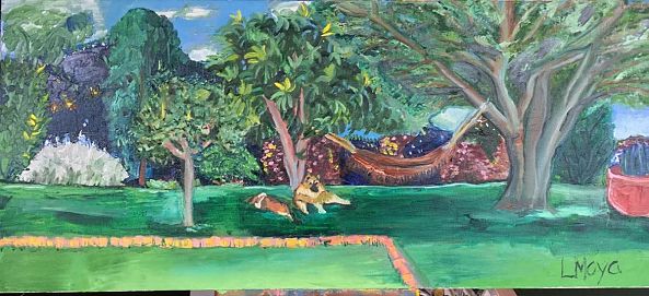 Shadow and Boomer in Quito -Ligia Moya