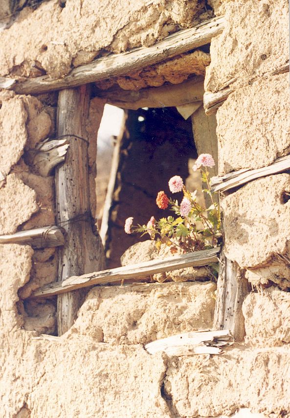 WINDOW IN THE WORLD-GORAN PANCIC