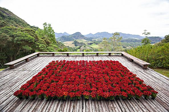 Em nunhum lugar / em todo lugar-Jacqueline Belotti