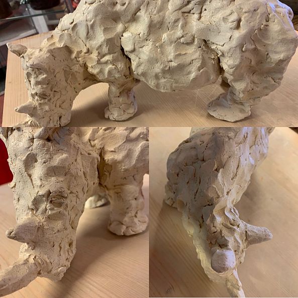 Rhinocéros blanc -Anne Cellier