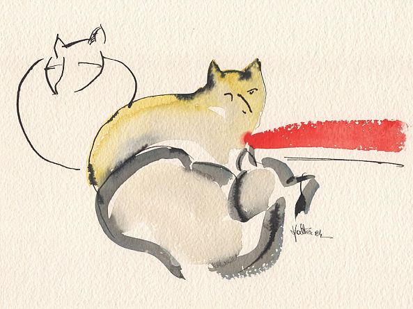 Trois chats-Alain HALTER