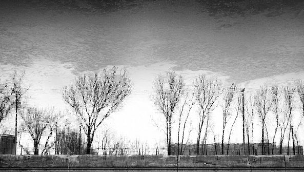Reflet_arbres-Eric Villeneuve