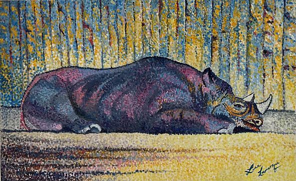 Pico rhino-Lise Levesque