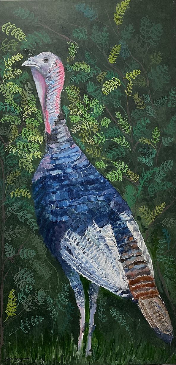 Dindon Sauvage-Lise Levesque