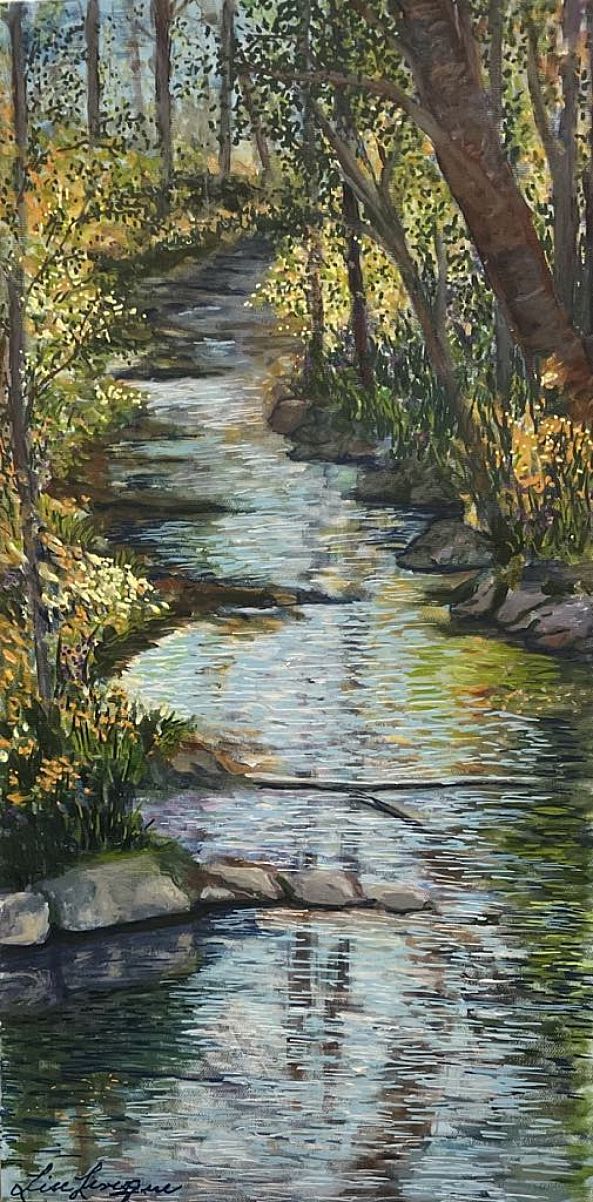 LA RIVIÈRE AUX MIROIRS-Lise Levesque
