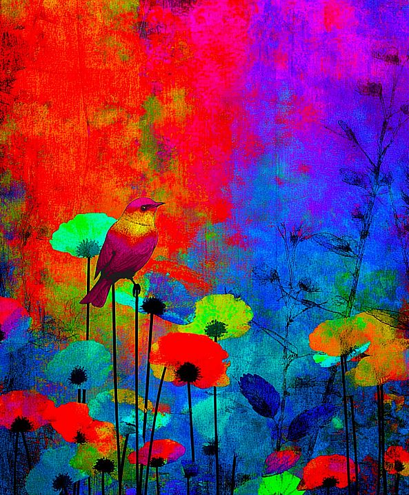 Birdys-ELIE _artiste