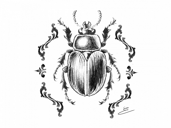Scarabée tatouage -Enora Belmont