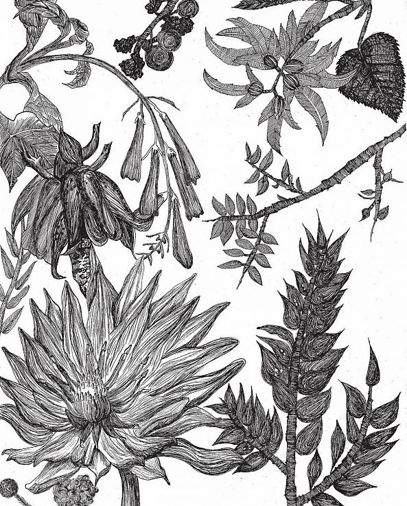 Garden Whisperings -Kristina Bet Dashto