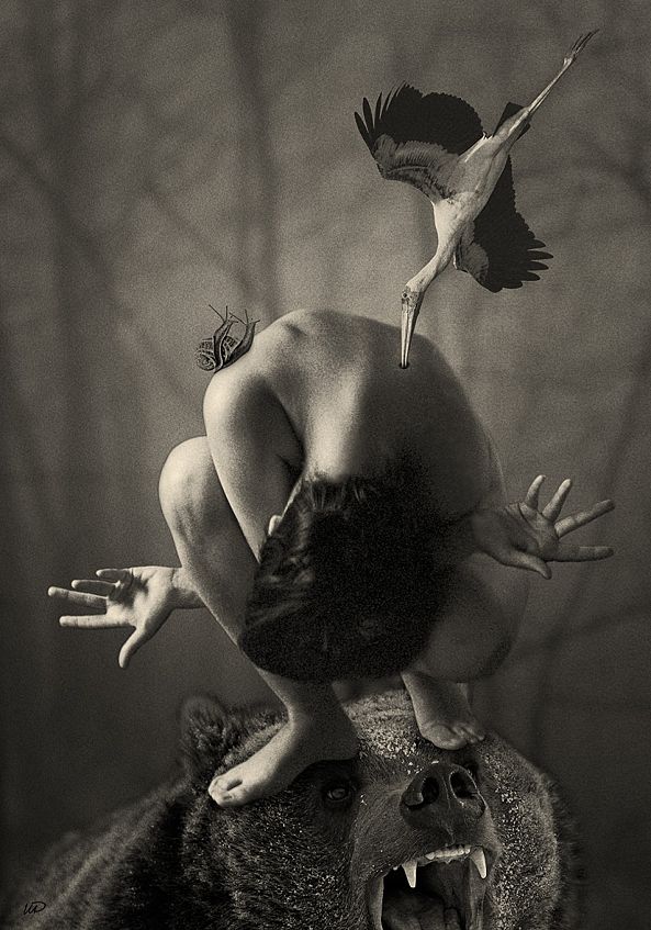 Artemis-Iglena Rousseva
