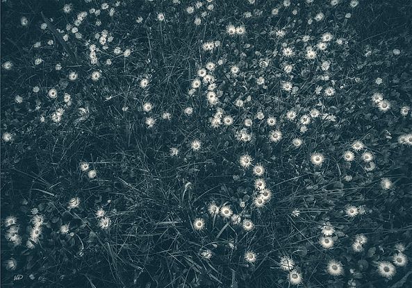 May 2016-Iglena Rousseva