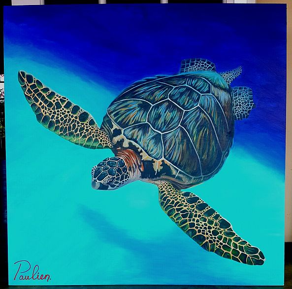 'Frank', SeaTurtle by Paulien Knip- de Boer-Paulien Knip-de