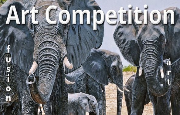 Animal Kingdom 2025 Art Competition
